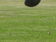 OTFL Gallery Image